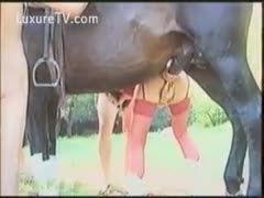 Woman in red underware fucking a horse